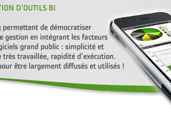 QlikView élaboration budgétaire