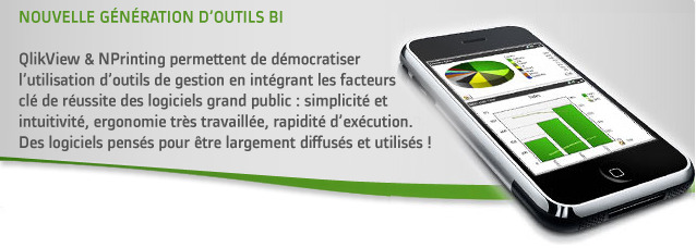 QlikView élaboration budgétaire