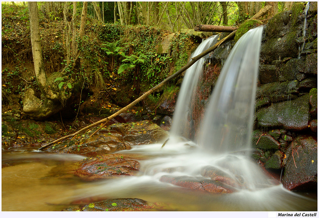 Cascade d'eau en forêt